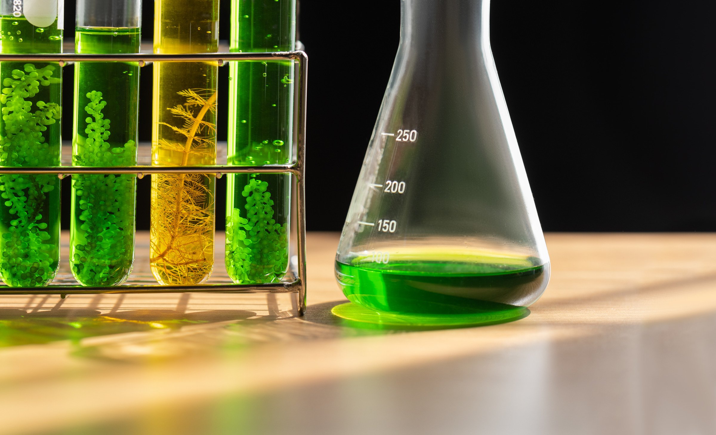 Laboratory glassware with green solutions — chemical recycling research
